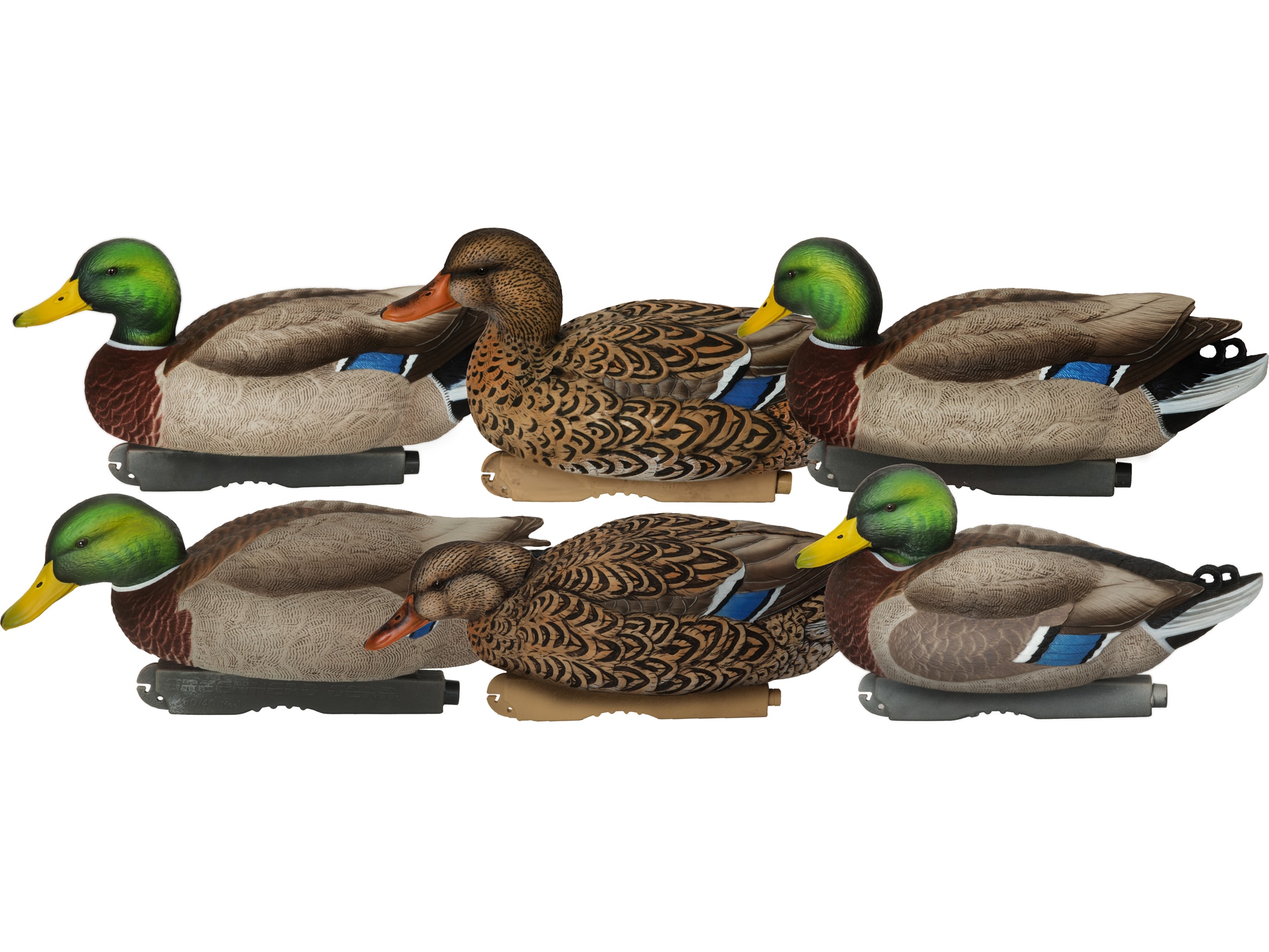 GHG XD Series ProGrade Harvester Mallard Duck Decoy 6PK